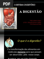 o-sistema-digestrio-ld-1226881948845830-9