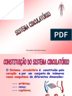 Sistemacirculatrio Powerpoint 07080910 Cpia 100401182628 Phpapp01