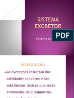 sistemaexcretor-091022075431-phpapp01