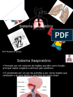 sistemarespiratrio8ano-100430134809-phpapp01