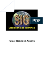 Diccionario Sig 1