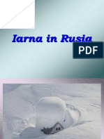  Iarna in Rusia