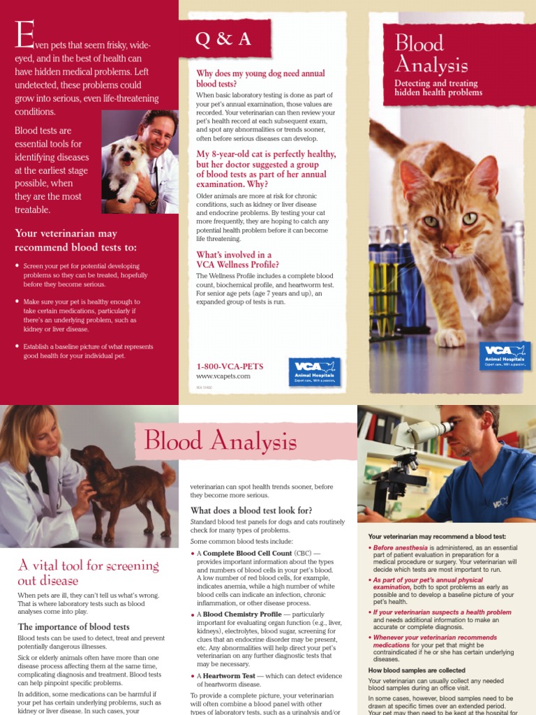 VCA Pet Tips PDF Physical Examination Medical Diagnosis