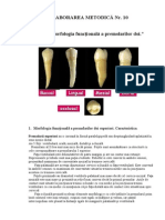 Elaborarea Metodica Nr. 10