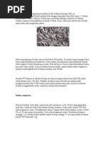 Download Budidaya Belut Pakan by tofa08 SN2075921 doc pdf