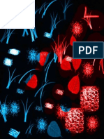 Color Efecto y Electro PDF