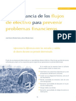 111_La importancia de los flujos de efectivo.pdf