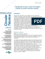 (EMBRAPA) Interpretacao de Alvos A Partir de Imagens de Satelite de Media Resolucao Espacial