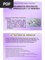 Fundamentos Biologicos Del Aprendizaje y Memoria