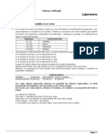 Practica Laboratorio PDF