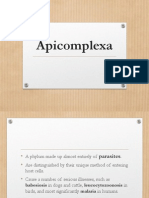Apicomplexa