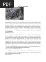 Download AERASI OKSIGEN by efcwaserf SN207649850 doc pdf