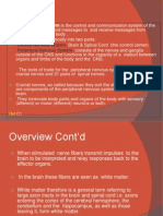 All About The Cranial Nerves