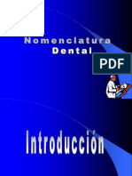 Nomenclatura Dental