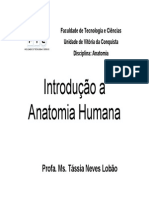 Introdução Anatomia