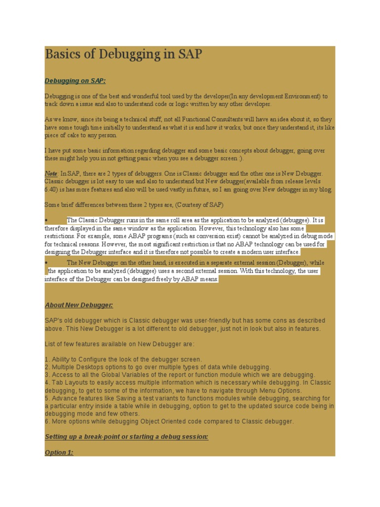 Basics of Debugging in SAP - 2014 | PDF | Utility Software | Debugging