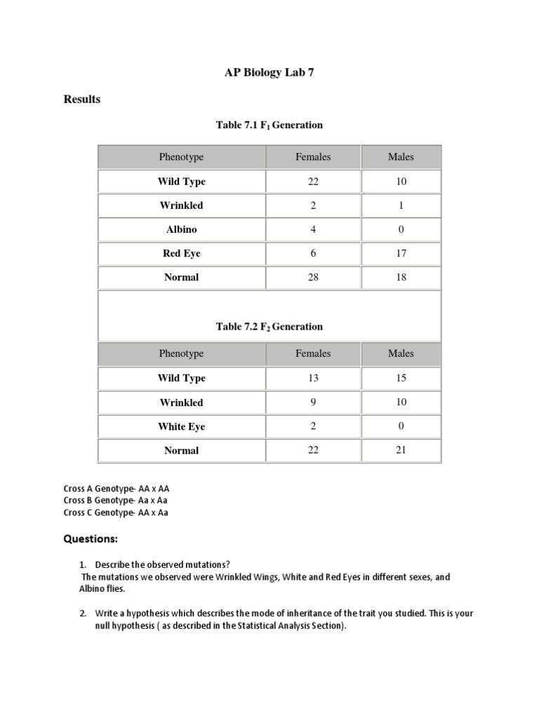 AP Biology Lab 7 Free Genotype Heredity