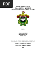 Download Laporan Praktikum Diaglin Sapi Dan Kuda_Irwan Ismail by Muhammad Reza Basri SN207696576 doc pdf