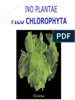 Reino Plantae - Filo Chlorophyta e Tipos de Ciclo de Vida em Algas PDF