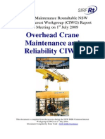 Cranes CIWG Report v1