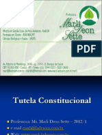 04 Tutela-Constitucional