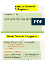 Mechanisms of Bacterial Pathogenesis: Normal Flora