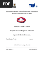 Ensayo de Tics y Reingenieria de Procesos