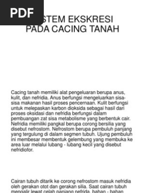Download 73 Koleksi Gambar Ginjal Nefridia Paling Bagus 