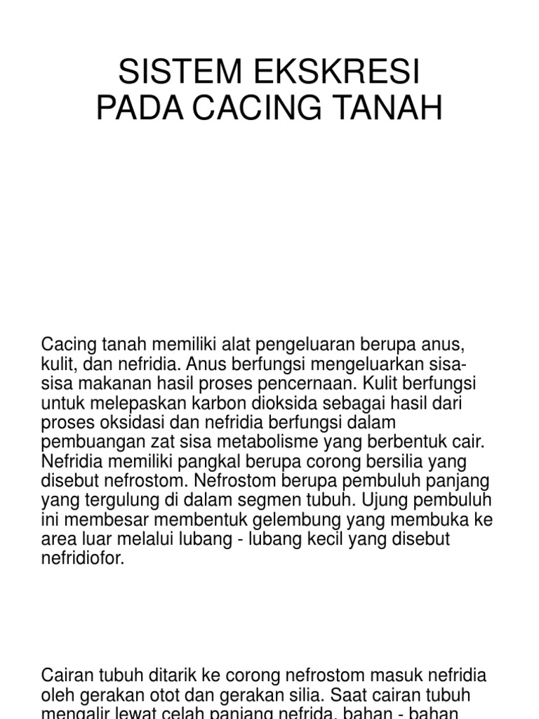Download 73 Koleksi Gambar Ginjal Nefridia Paling Bagus 