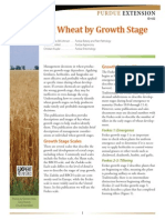 Wheat Growth Stage