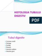 LP II-4-Tub Digestiv 2013