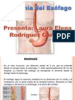 Antomia del Esófago Laura Elena Rodrgiguez Coronel