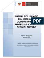 Manual Usuario Liquidaciones