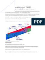 Water Alternating Gas (WAG)