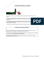 Aulaondas PDF