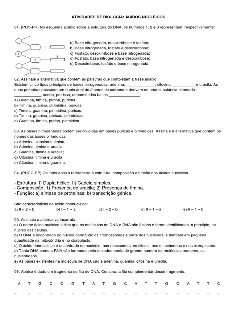 Atividades de Acidos Nucleicos | PDF | Ácidos nucleicos | DNA, image size:768x1024