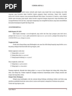 Download cedera kepala by Thanty_FK SN207820435 doc pdf