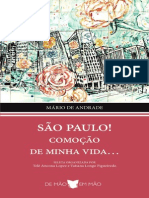 Sao Paulo Comocao de Minha Vida