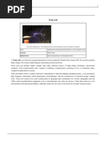 Tesla Coil.... Bobina Tesla PDF