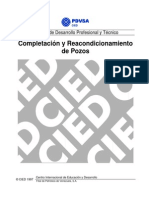 CIED PDVSA - Completación y Reacondicionamiento de Pozos