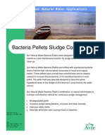 Sludge Bacteria Pellet