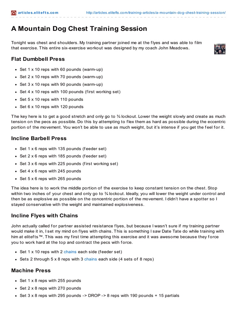 Mountain Dog Chest Training Session Sports