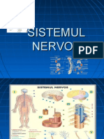 sistemul-nervos