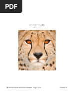 Download Cheetahs PREVIEW by TheTeachersDeskinfo SN20785465 doc pdf