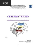 Cerebro Triuno