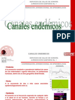 5.2 Canales Endemicos