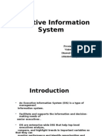 Executive Information System