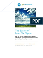 The Basics of Lean Six Sigma Www.goleanSixSigma.com