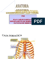 Anatocardiorespiratorio[1]