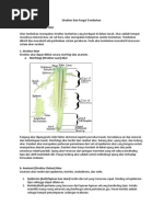 Struktur Dan Fungsi Tumbuhan.docx